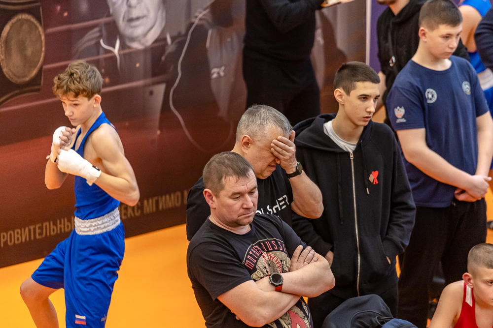 Соревнования по боксу памяти тренеров Одинцовского округа