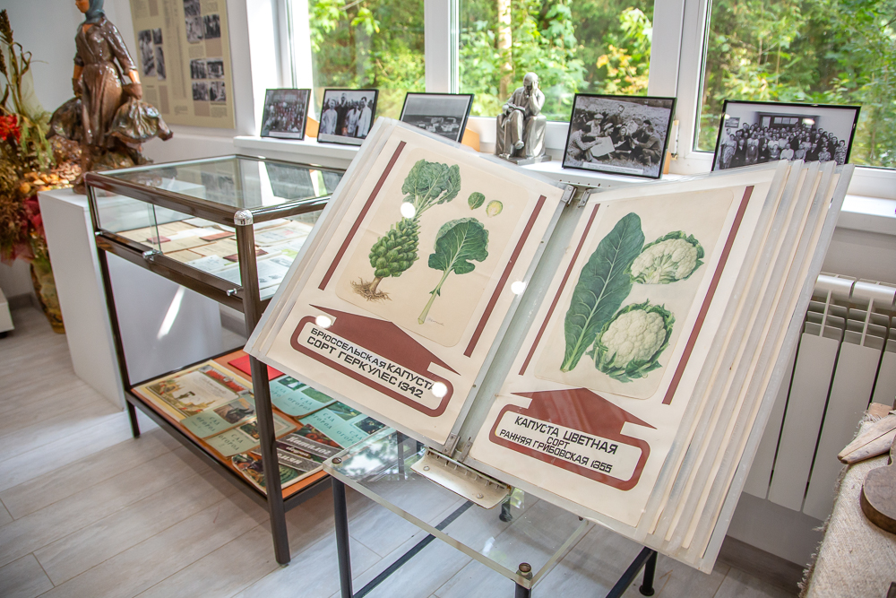 Федеральный научный центр овощеводства отмечает 105-летие