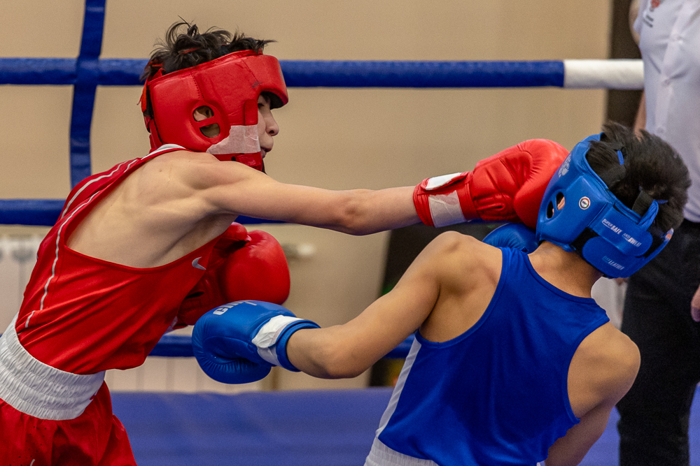 Соревнования по боксу памяти тренеров Одинцовского округа