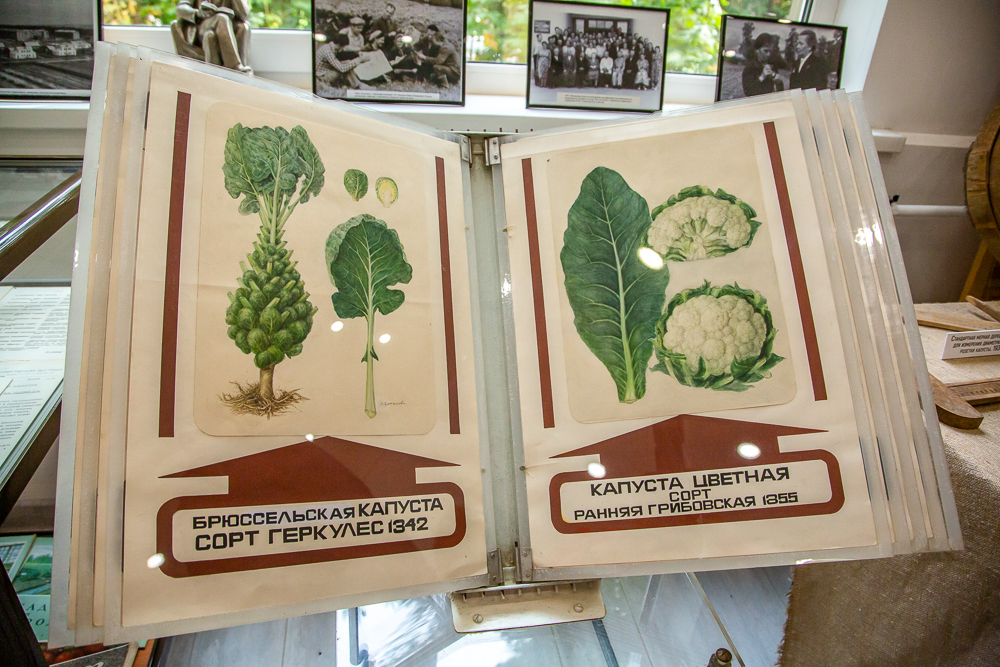 Федеральный научный центр овощеводства отмечает 105-летие