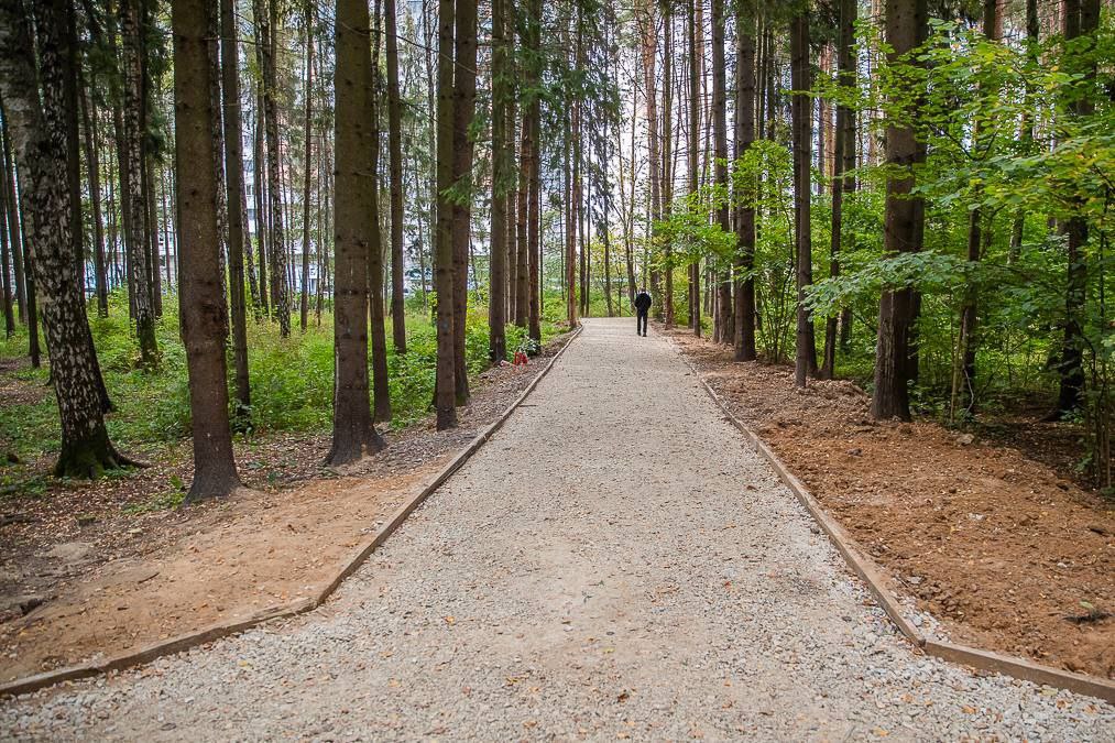 Парк в Трёхгорке будет всесезонным