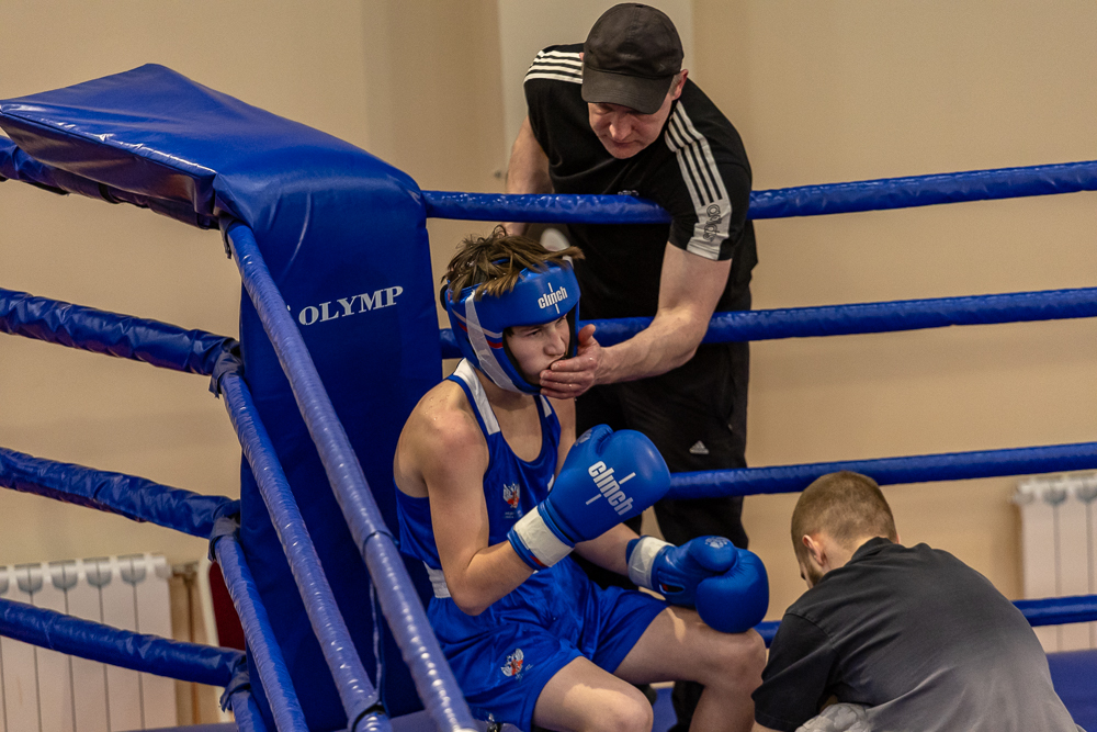 Соревнования по боксу памяти тренеров Одинцовского округа