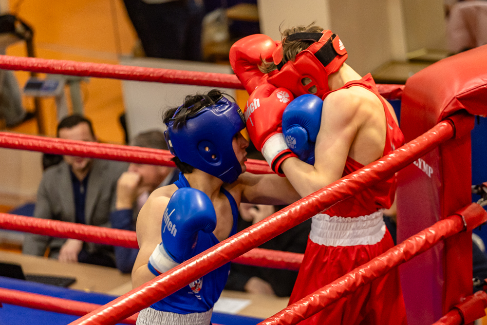 Соревнования по боксу памяти тренеров Одинцовского округа