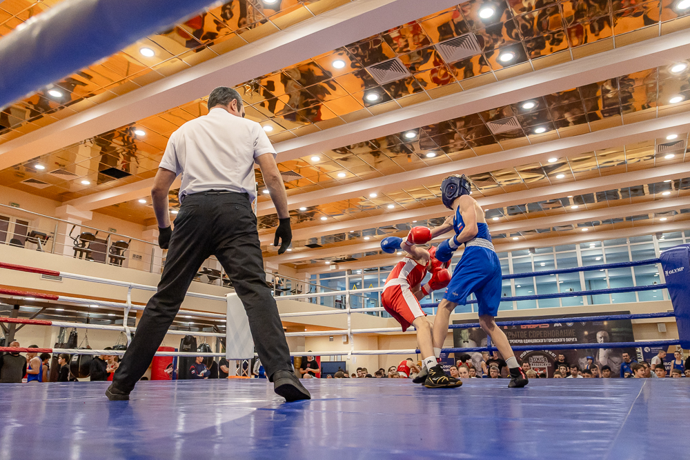Соревнования по боксу памяти тренеров Одинцовского округа