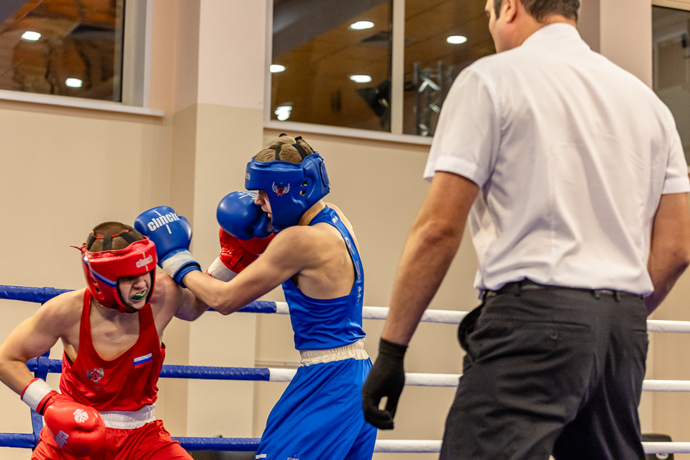 Соревнования по боксу памяти тренеров Одинцовского округа