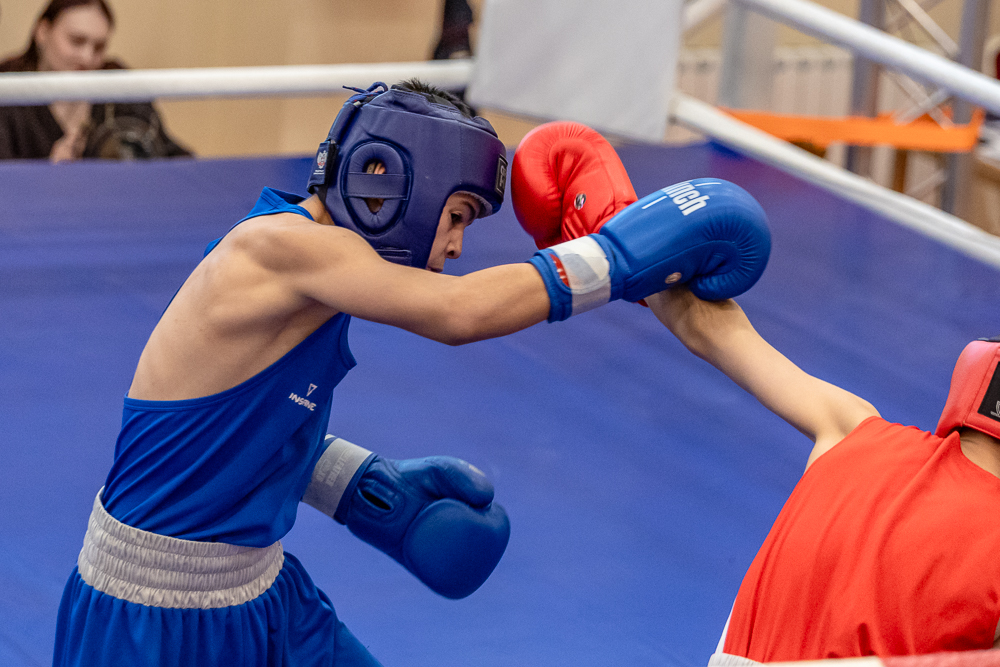 Соревнования по боксу памяти тренеров Одинцовского округа