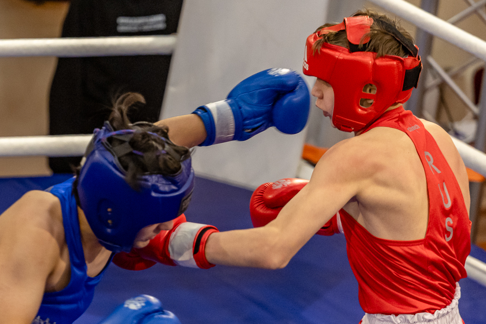 Соревнования по боксу памяти тренеров Одинцовского округа