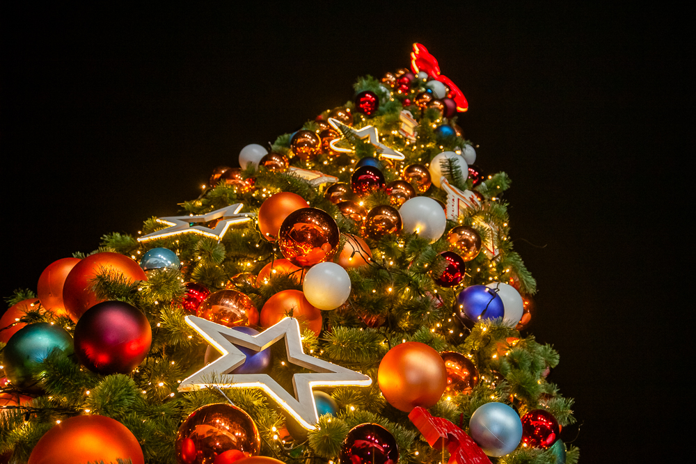 В Одинцово на Лазутинке открыли зимний сезон