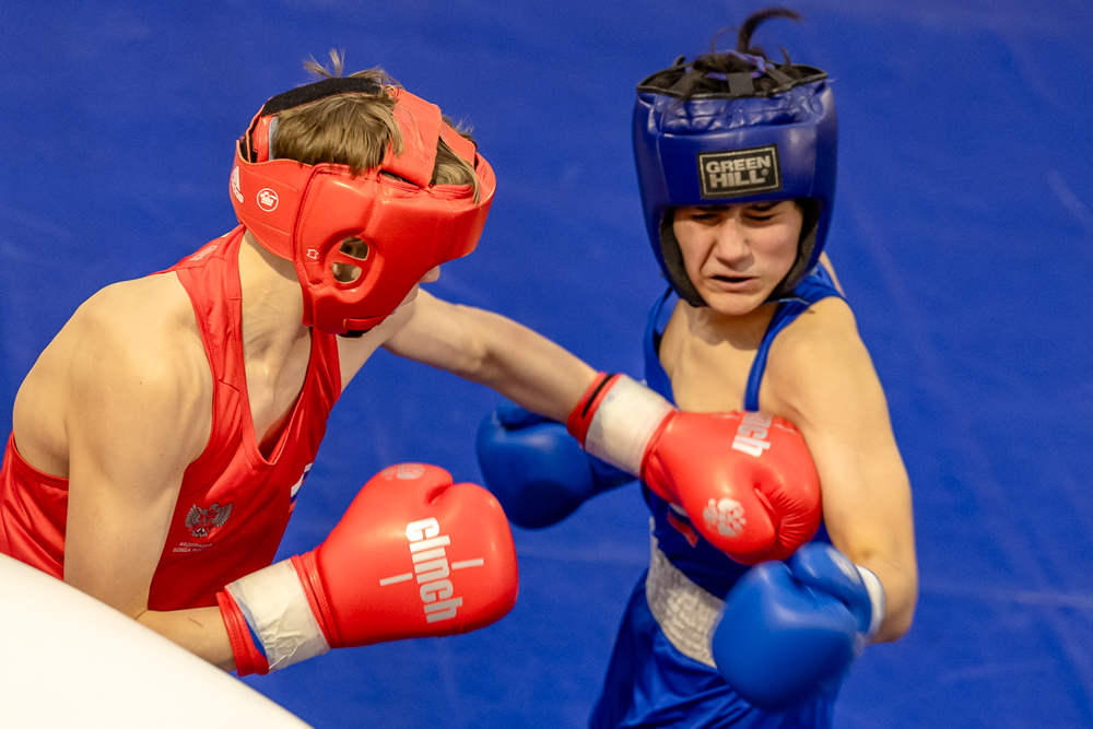 Соревнования по боксу памяти тренеров Одинцовского округа