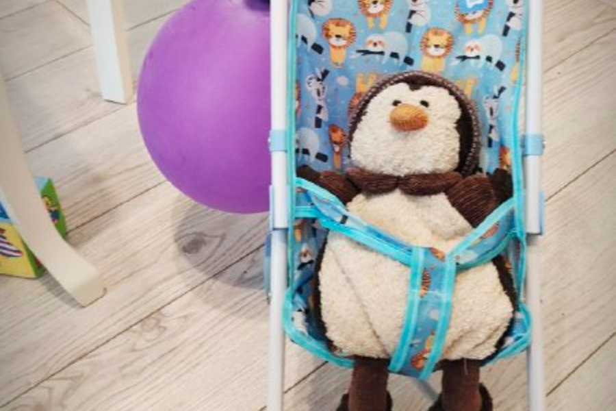 Похищение друга, или Надежда на возвращение Пина Хорошего