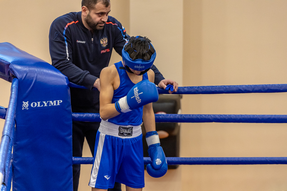 Соревнования по боксу памяти тренеров Одинцовского округа