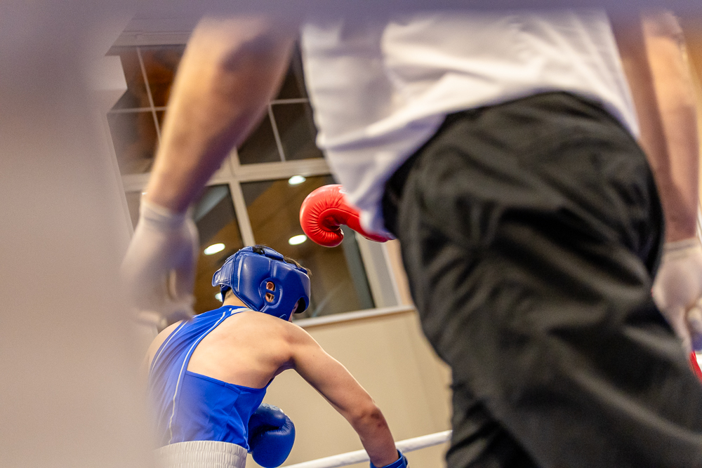 Соревнования по боксу памяти тренеров Одинцовского округа