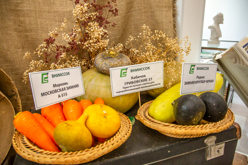 Федеральный научный центр овощеводства отмечает 105-летие