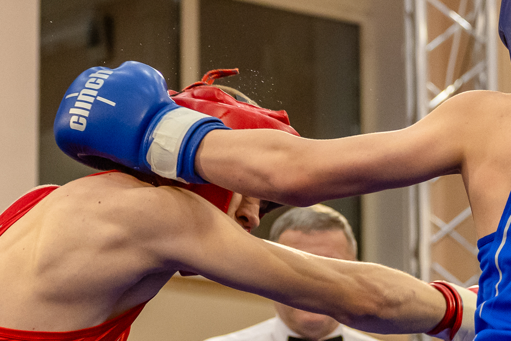 Соревнования по боксу памяти тренеров Одинцовского округа