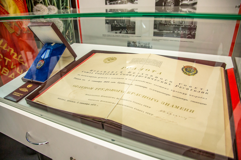 Федеральный научный центр овощеводства отмечает 105-летие