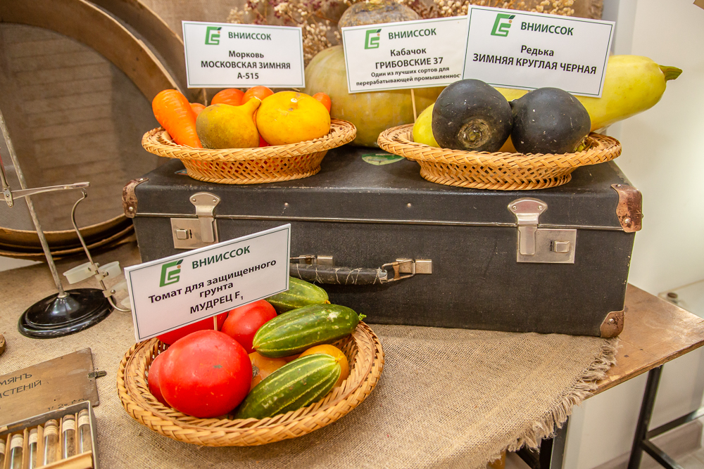 Федеральный научный центр овощеводства отмечает 105-летие