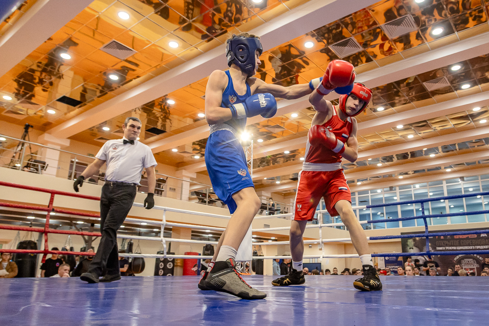Соревнования по боксу памяти тренеров Одинцовского округа