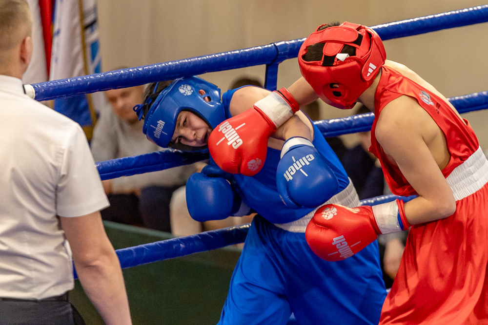 Соревнования по боксу памяти тренеров Одинцовского округа