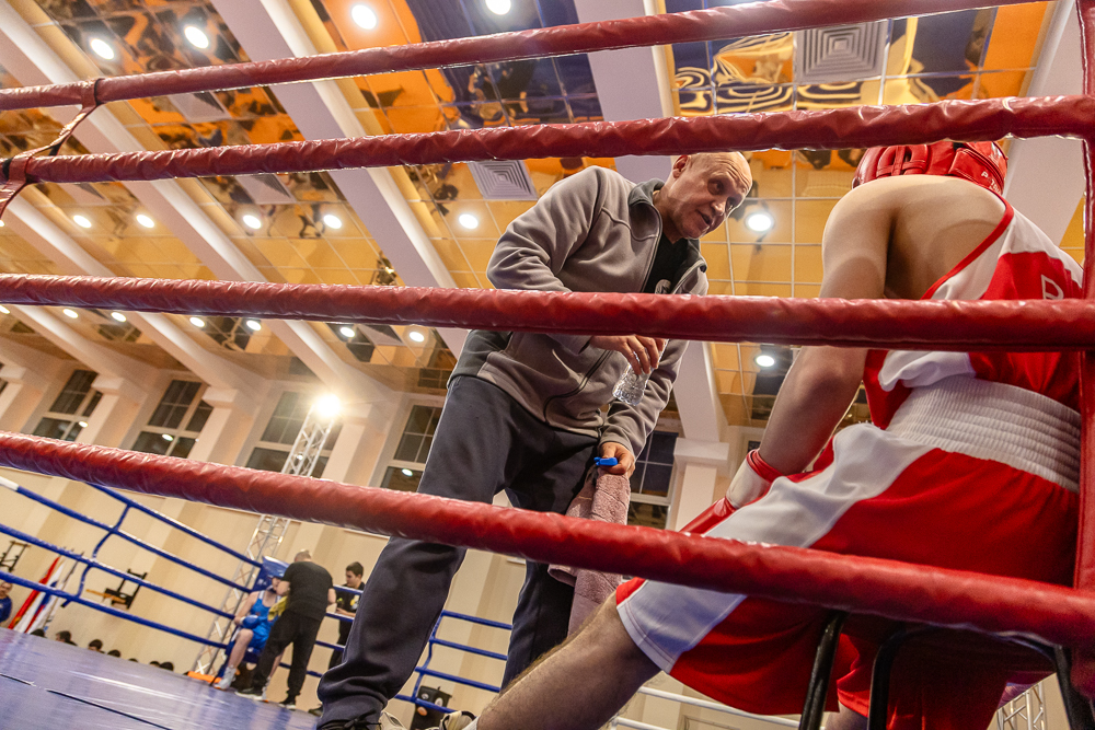 Соревнования по боксу памяти тренеров Одинцовского округа
