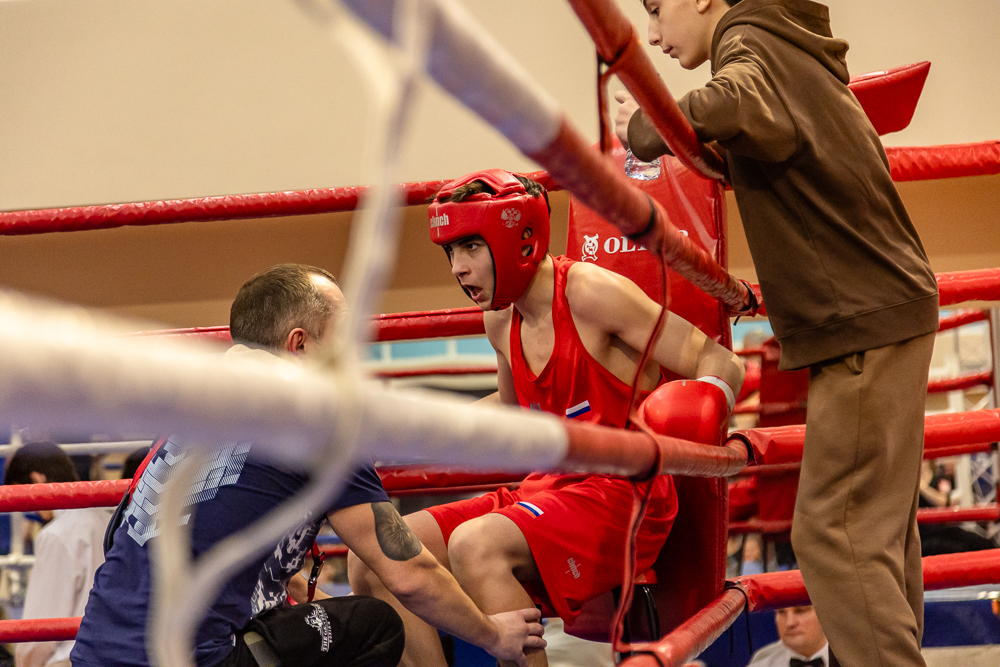 Соревнования по боксу памяти тренеров Одинцовского округа