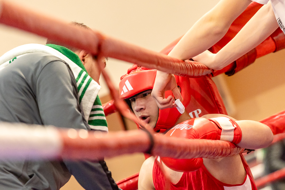 Соревнования по боксу памяти тренеров Одинцовского округа