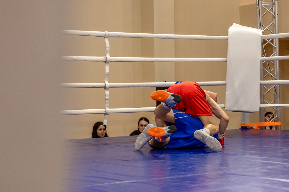 Соревнования по боксу памяти тренеров Одинцовского округа