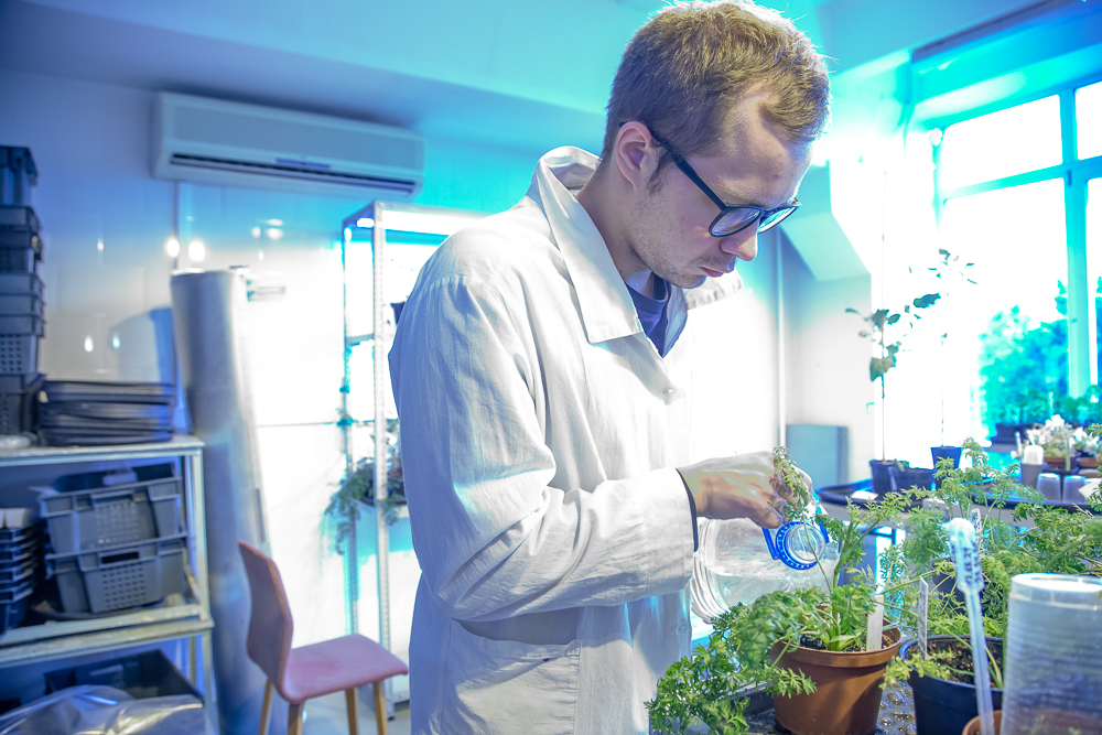 Федеральный научный центр овощеводства отмечает 105-летие