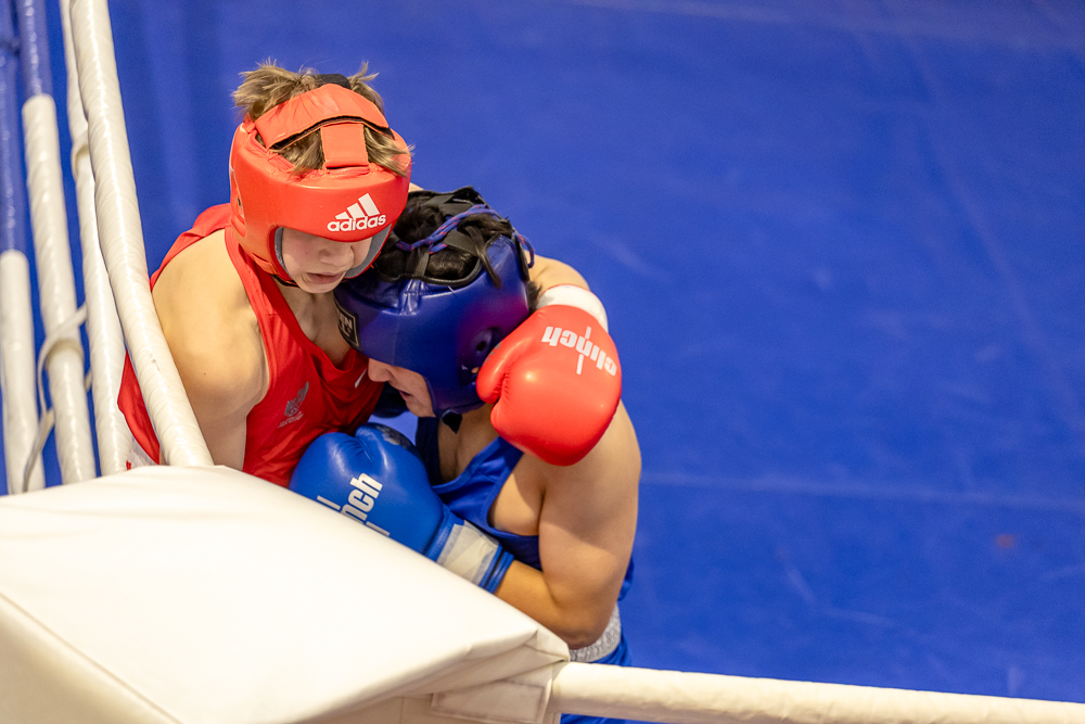 Соревнования по боксу памяти тренеров Одинцовского округа