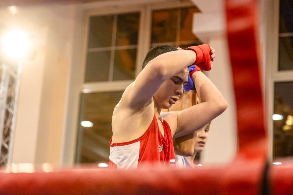 Соревнования по боксу памяти тренеров Одинцовского округа