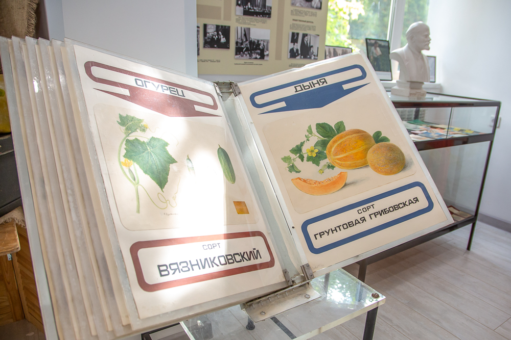 Федеральный научный центр овощеводства отмечает 105-летие