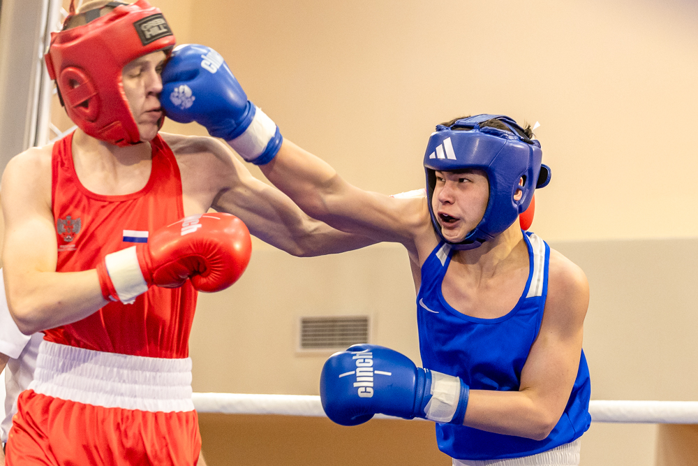 Соревнования по боксу памяти тренеров Одинцовского округа