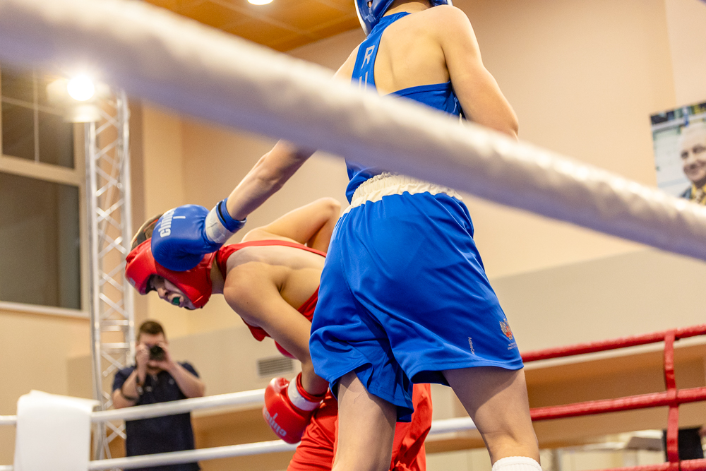 Соревнования по боксу памяти тренеров Одинцовского округа