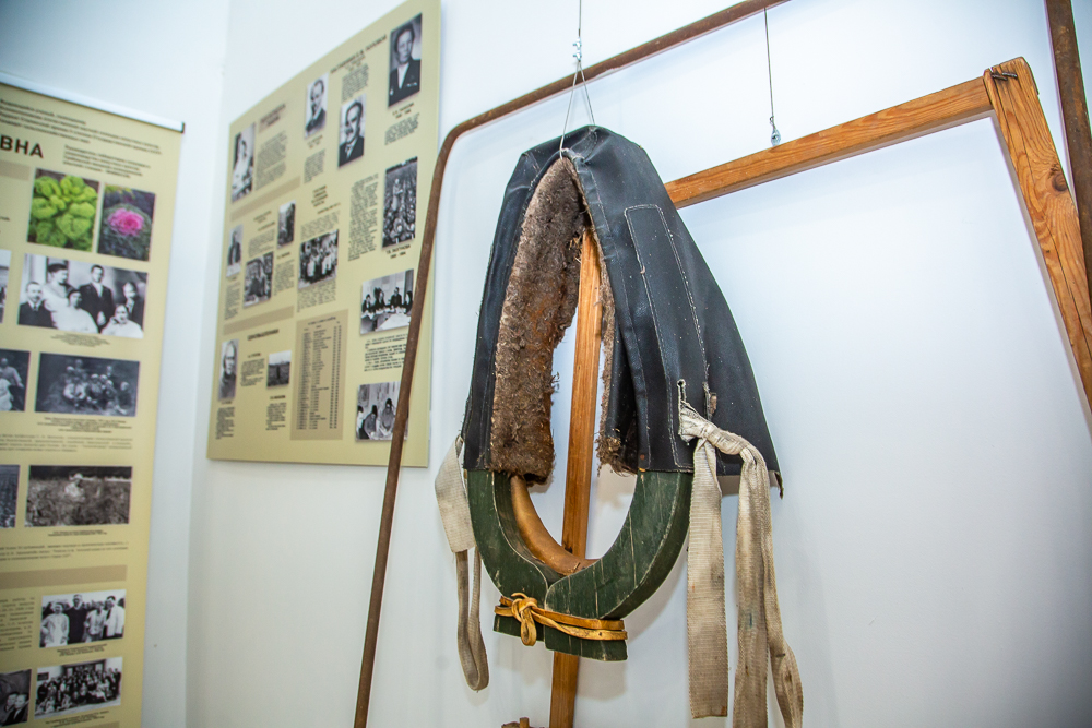 Федеральный научный центр овощеводства отмечает 105-летие