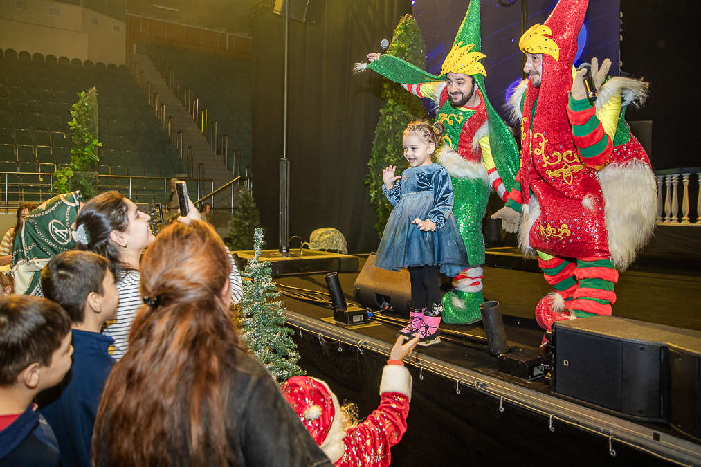 Ёлки главы Одинцовского округа