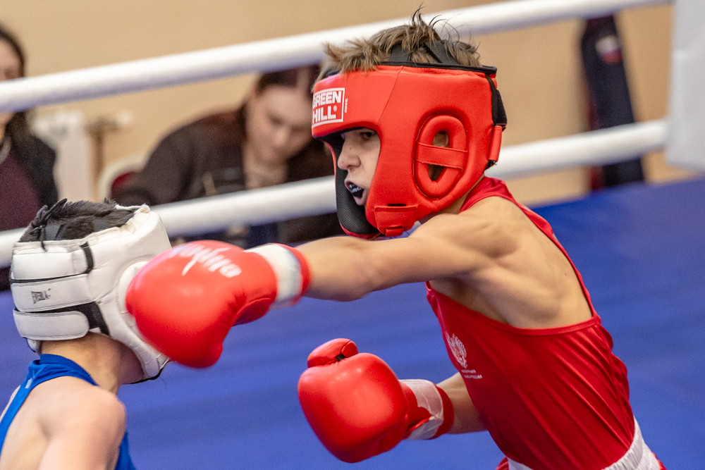 Соревнования по боксу памяти тренеров Одинцовского округа