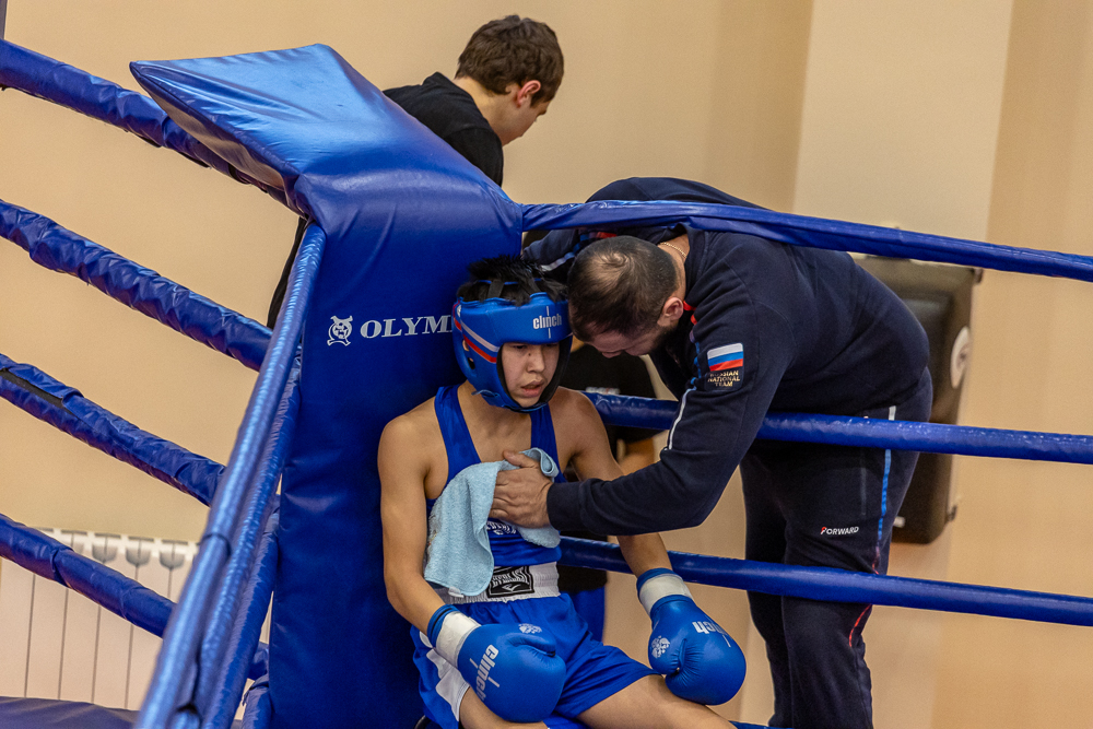 Соревнования по боксу памяти тренеров Одинцовского округа