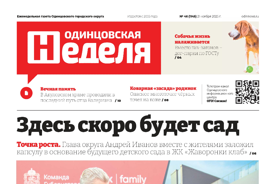 №46 (1145) 21 ноября 2025