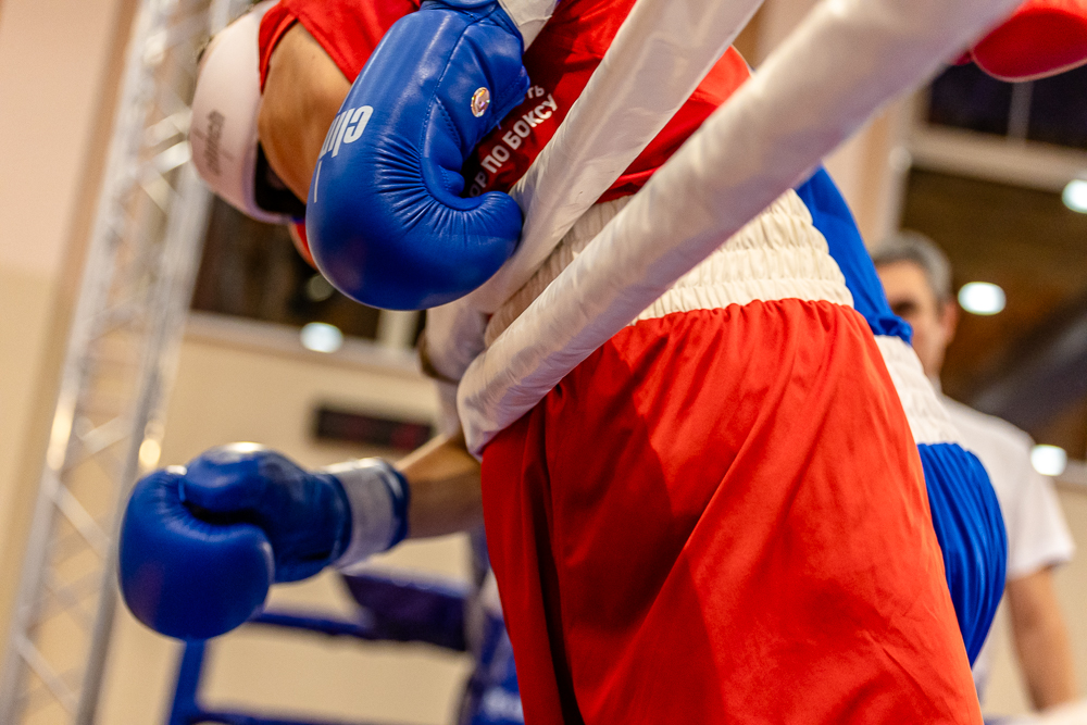 Соревнования по боксу памяти тренеров Одинцовского округа