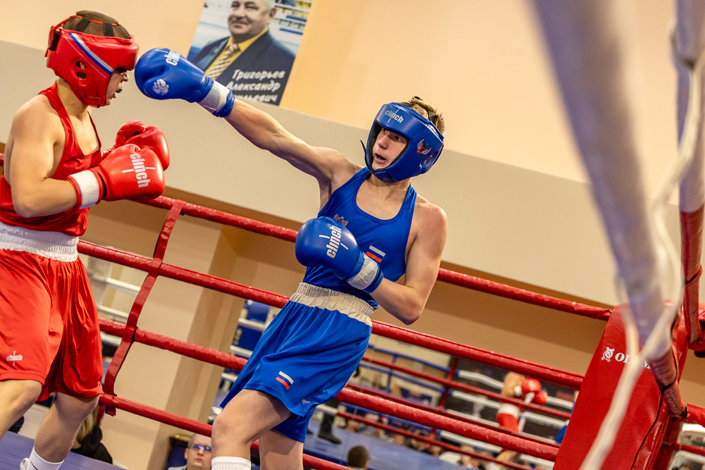 Соревнования по боксу памяти тренеров Одинцовского округа