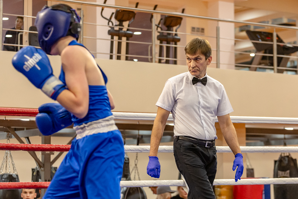 Соревнования по боксу памяти тренеров Одинцовского округа