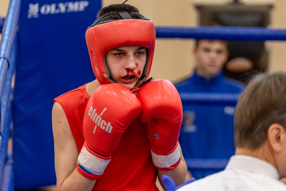 Соревнования по боксу памяти тренеров Одинцовского округа