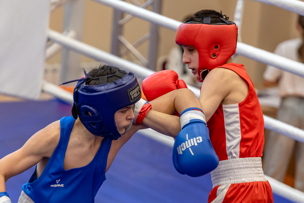 Соревнования по боксу памяти тренеров Одинцовского округа