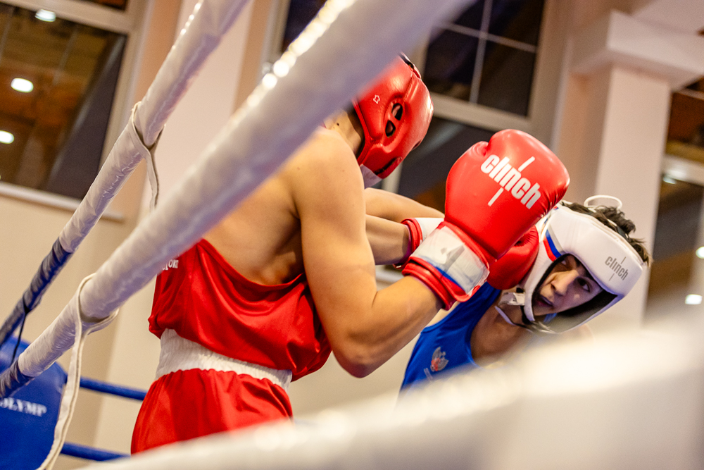 Соревнования по боксу памяти тренеров Одинцовского округа