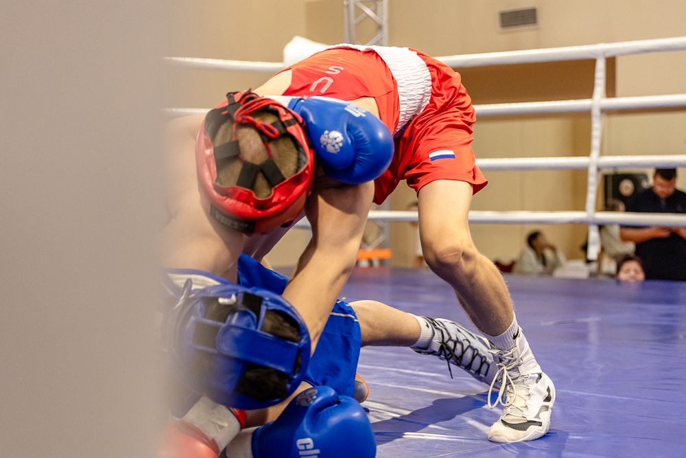 Соревнования по боксу памяти тренеров Одинцовского округа