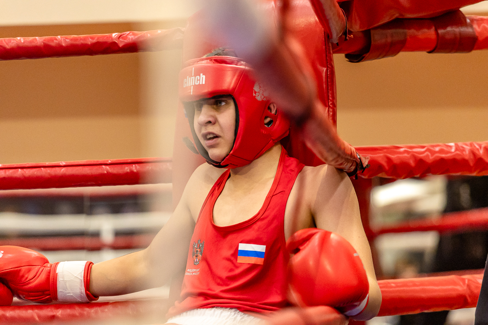 Соревнования по боксу памяти тренеров Одинцовского округа