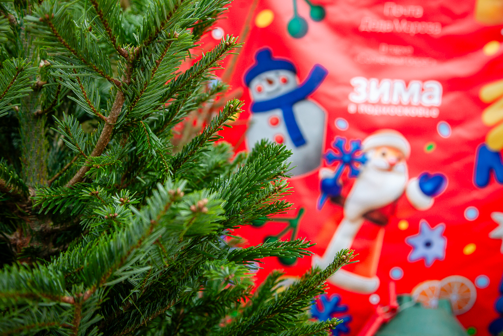 Ёлочная магия работает