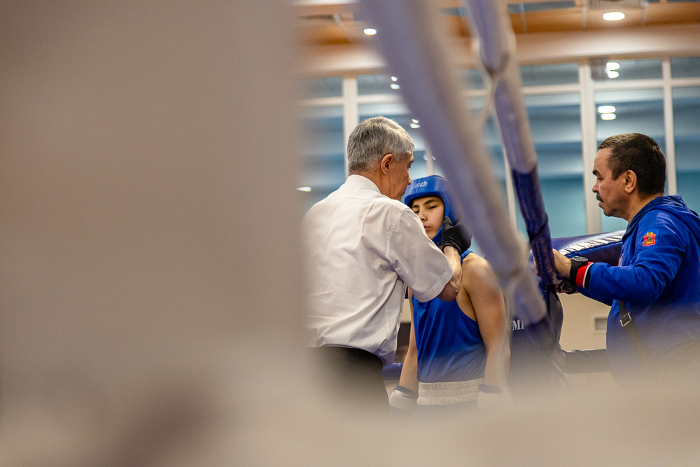 Соревнования по боксу памяти тренеров Одинцовского округа