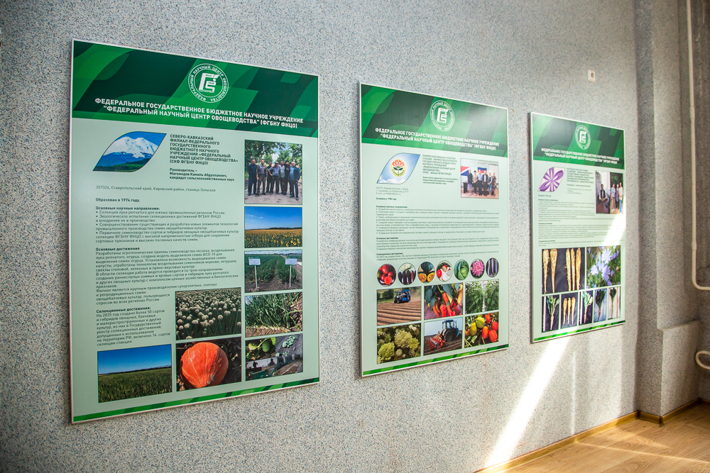 Федеральный научный центр овощеводства отмечает 105-летие