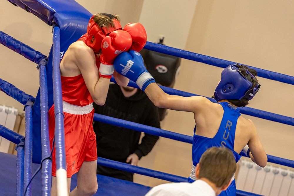 Соревнования по боксу памяти тренеров Одинцовского округа