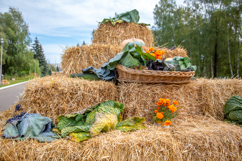 Федеральный научный центр овощеводства отмечает 105-летие